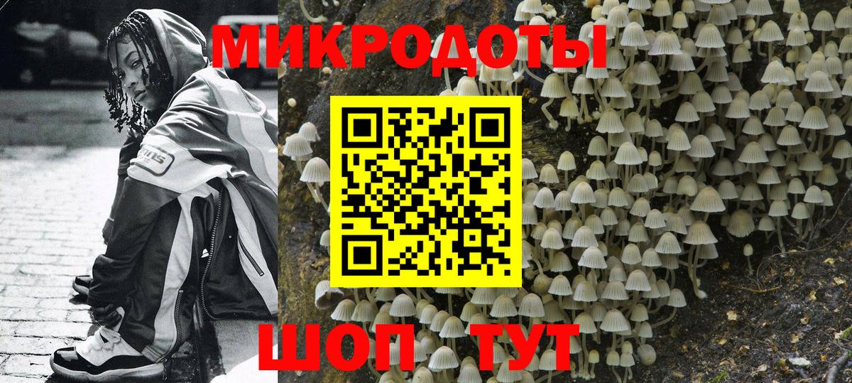 Галлюциногенные грибы GOLDEN TEACHER  Вход с VPN  Галлюциногенные грибы ЛСД  Коломна 